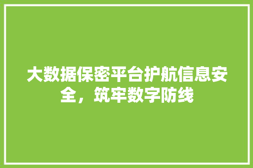 大数据保密平台护航信息安全，筑牢数字防线