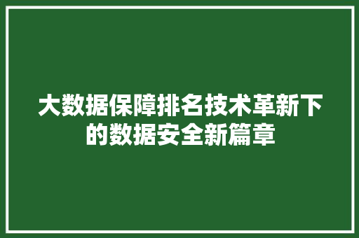 大数据保障排名技术革新下的数据安全新篇章