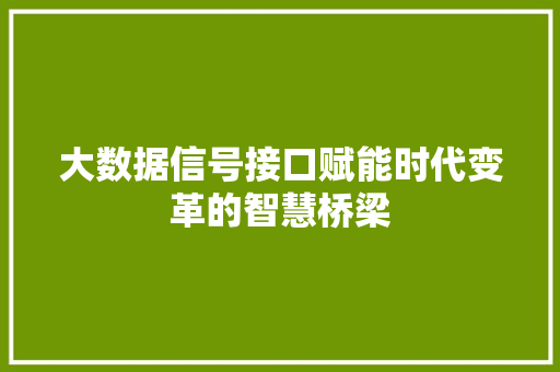 大数据信号接口赋能时代变革的智慧桥梁