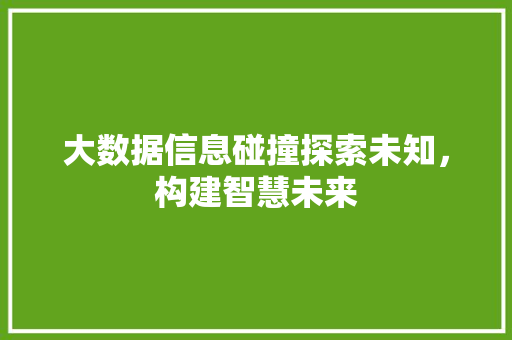 大数据信息碰撞探索未知，构建智慧未来