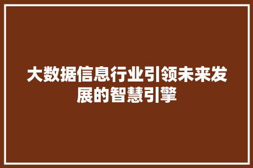 大数据信息行业引领未来发展的智慧引擎