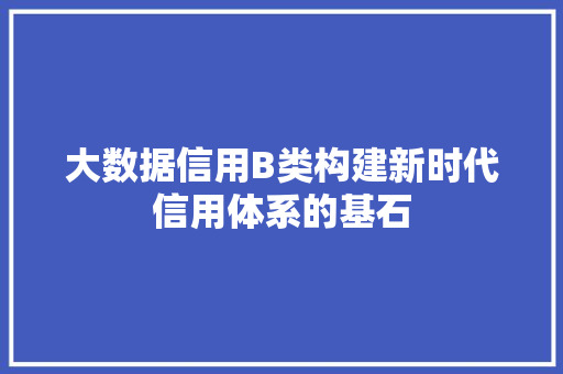 大数据信用B类构建新时代信用体系的基石 电脑配置 大数据信用B类构建新时代信用体系的基石 电脑配置