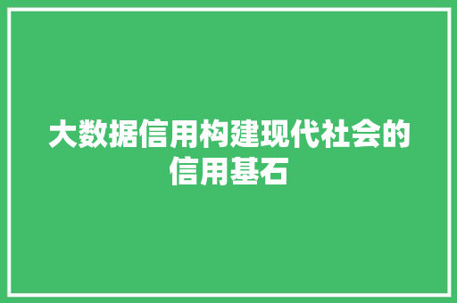大数据信用构建现代社会的信用基石