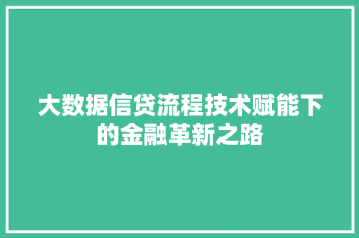 大数据信贷流程技术赋能下的金融革新之路