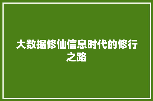 大数据修仙信息时代的修行之路 电脑配置