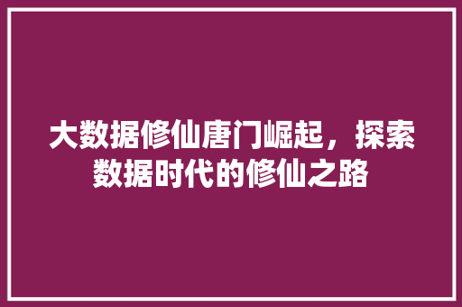大数据修仙唐门崛起，探索数据时代的修仙之路 网络技术