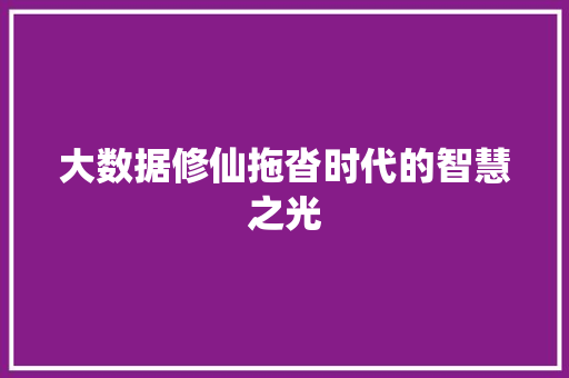 大数据修仙拖沓时代的智慧之光 电脑故障维修