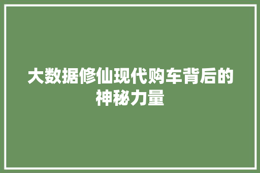 大数据修仙现代购车背后的神秘力量 电脑配置