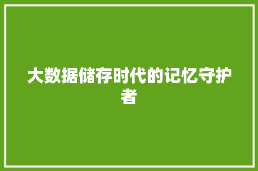 大数据储存时代的记忆守护者