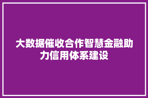 大数据催收合作智慧金融助力信用体系建设