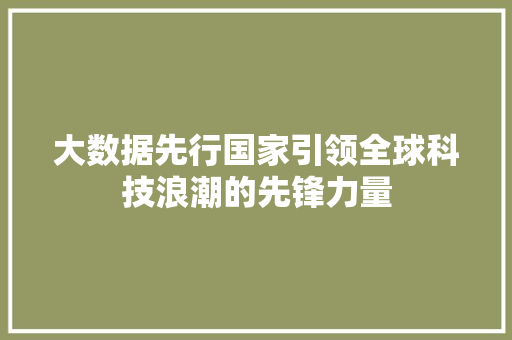 大数据先行国家引领全球科技浪潮的先锋力量