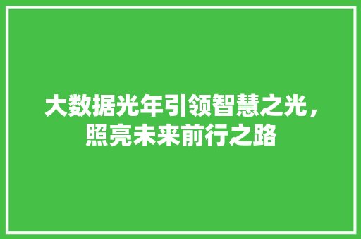 大数据光年引领智慧之光，照亮未来前行之路 电脑配置