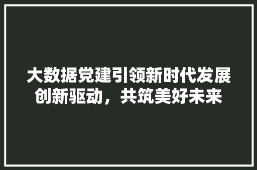 大数据党建引领新时代发展创新驱动,共筑美好未来 网络技术 大数据党建引领新时代发展创新驱动,共筑美好未来 网络技术