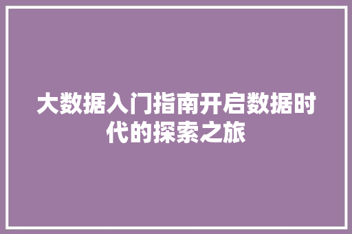 大数据入门指南开启数据时代的探索之旅