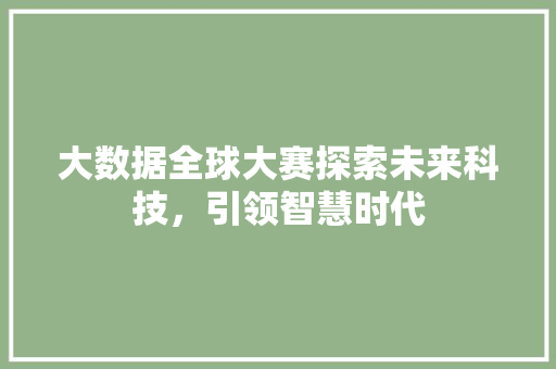 大数据全球大赛探索未来科技，引领智慧时代