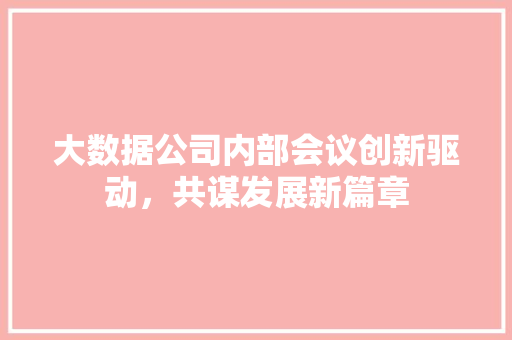 大数据公司内部会议创新驱动，共谋发展新篇章