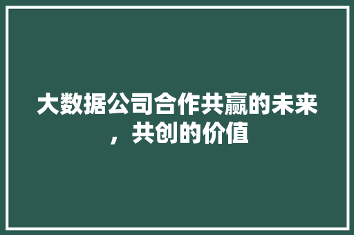 大数据公司合作共赢的未来，共创的价值