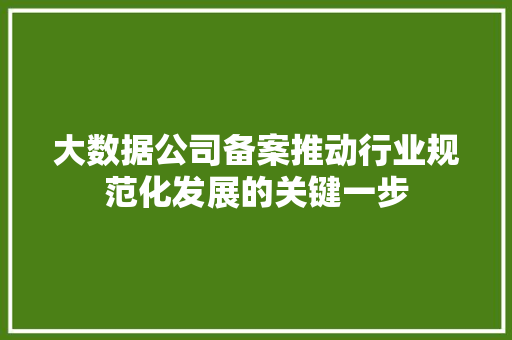 大数据公司备案推动行业规范化发展的关键一步