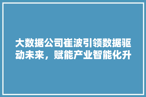 大数据公司崔波引领数据驱动未来，赋能产业智能化升级