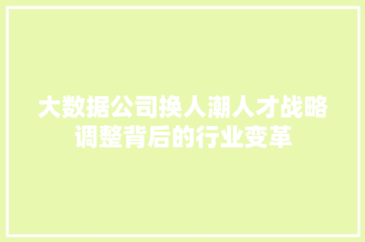 大数据公司换人潮人才战略调整背后的行业变革