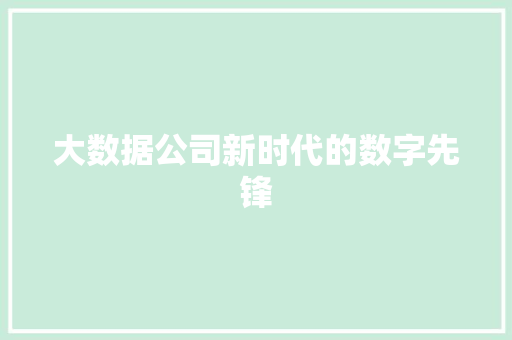大数据公司新时代的数字先锋