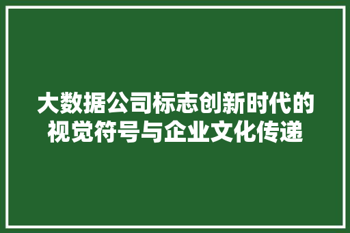 大数据公司标志创新时代的视觉符号与企业文化传递
