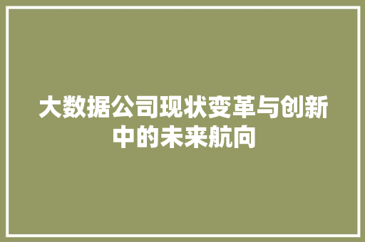 大数据公司现状变革与创新中的未来航向