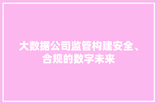 大数据公司监管构建安全、合规的数字未来