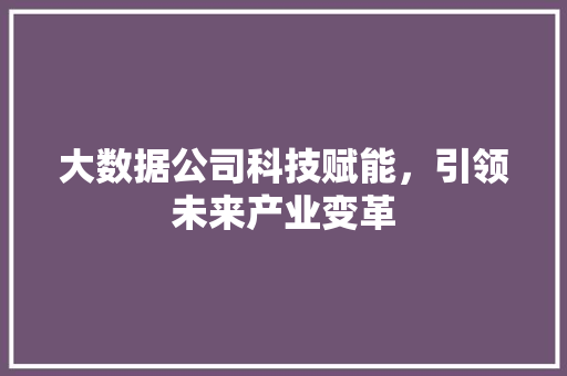 大数据公司科技赋能，引领未来产业变革 电脑配置