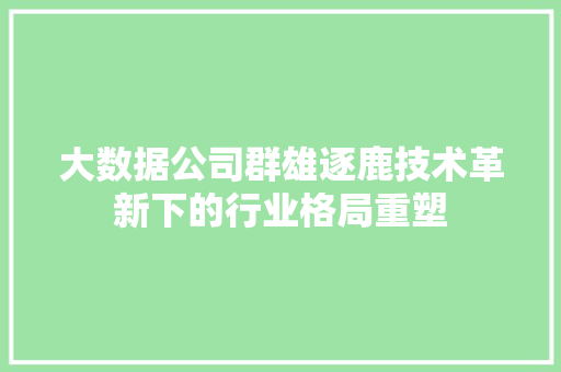 大数据公司群雄逐鹿技术革新下的行业格局重塑 网络技术
