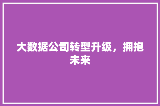 大数据公司转型升级，拥抱未来