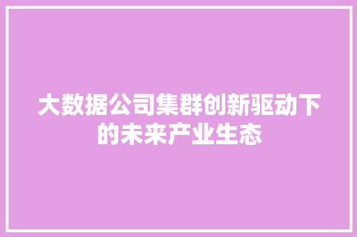 大数据公司集群创新驱动下的未来产业生态