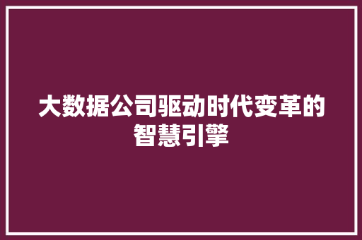 大数据公司驱动时代变革的智慧引擎 网络技术