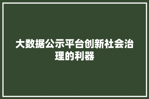 大数据公示平台创新社会治理的利器
