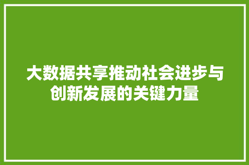 大数据共享推动社会进步与创新发展的关键力量