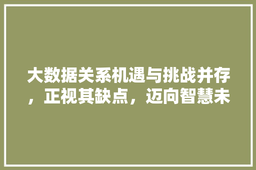 大数据关系机遇与挑战并存，正视其缺点，迈向智慧未来 电脑故障维修