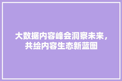 大数据内容峰会洞察未来，共绘内容生态新蓝图 电脑基础