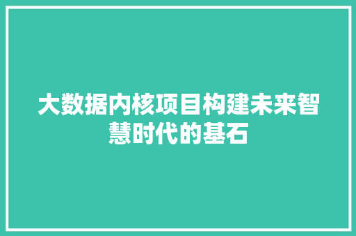 大数据内核项目构建未来智慧时代的基石 电脑基础
