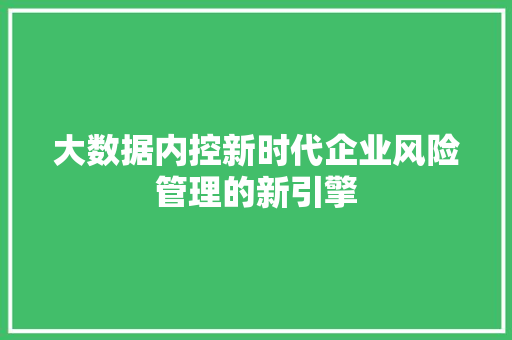 大数据内控新时代企业风险管理的新引擎 电脑基础