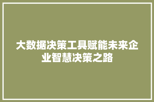 大数据决策工具赋能未来企业智慧决策之路 电脑基础 大数据决策工具赋能未来企业智慧决策之路 电脑基础