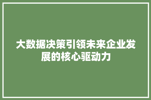 大数据决策引领未来企业发展的核心驱动力