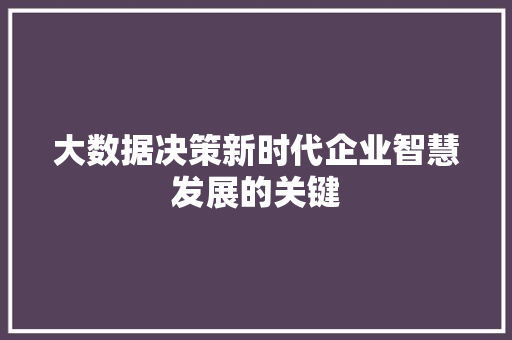 大数据决策新时代企业智慧发展的关键 网络技术