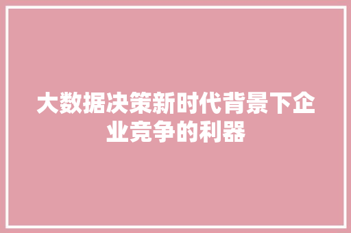 大数据决策新时代背景下企业竞争的利器