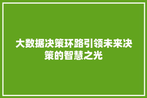 大数据决策环路引领未来决策的智慧之光