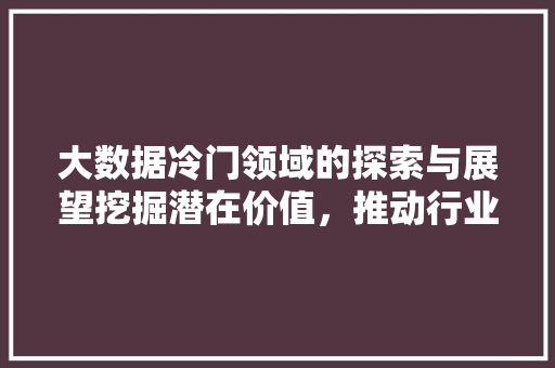 大数据冷门领域的探索与展望挖掘潜在价值，推动行业发展 网络技术