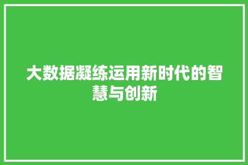 大数据凝练运用新时代的智慧与创新