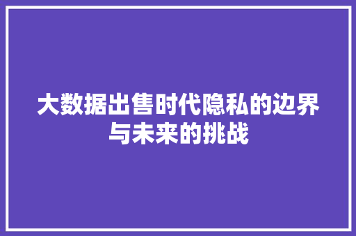大数据出售时代隐私的边界与未来的挑战