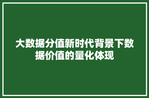 大数据分值新时代背景下数据价值的量化体现