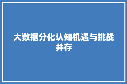 大数据分化认知机遇与挑战并存