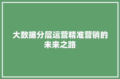 大数据分层运营精准营销的未来之路 操作系统